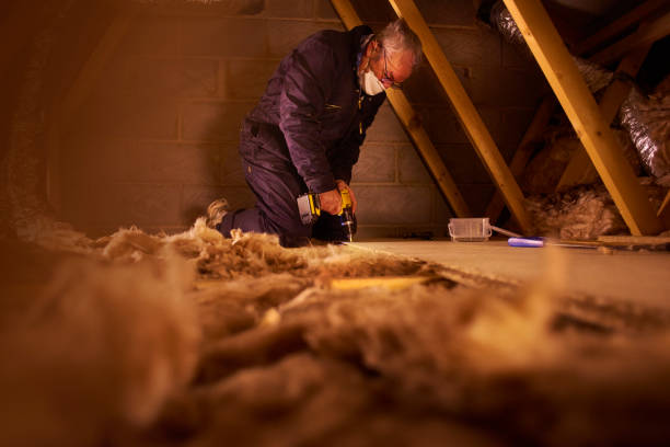 Best Insulation Maintenance and Repair in Brilliant, AL